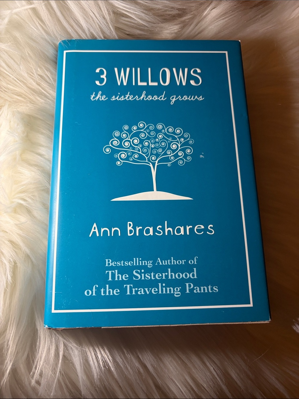 📚 3 for $15 📚 3 Willows Book in Teal
